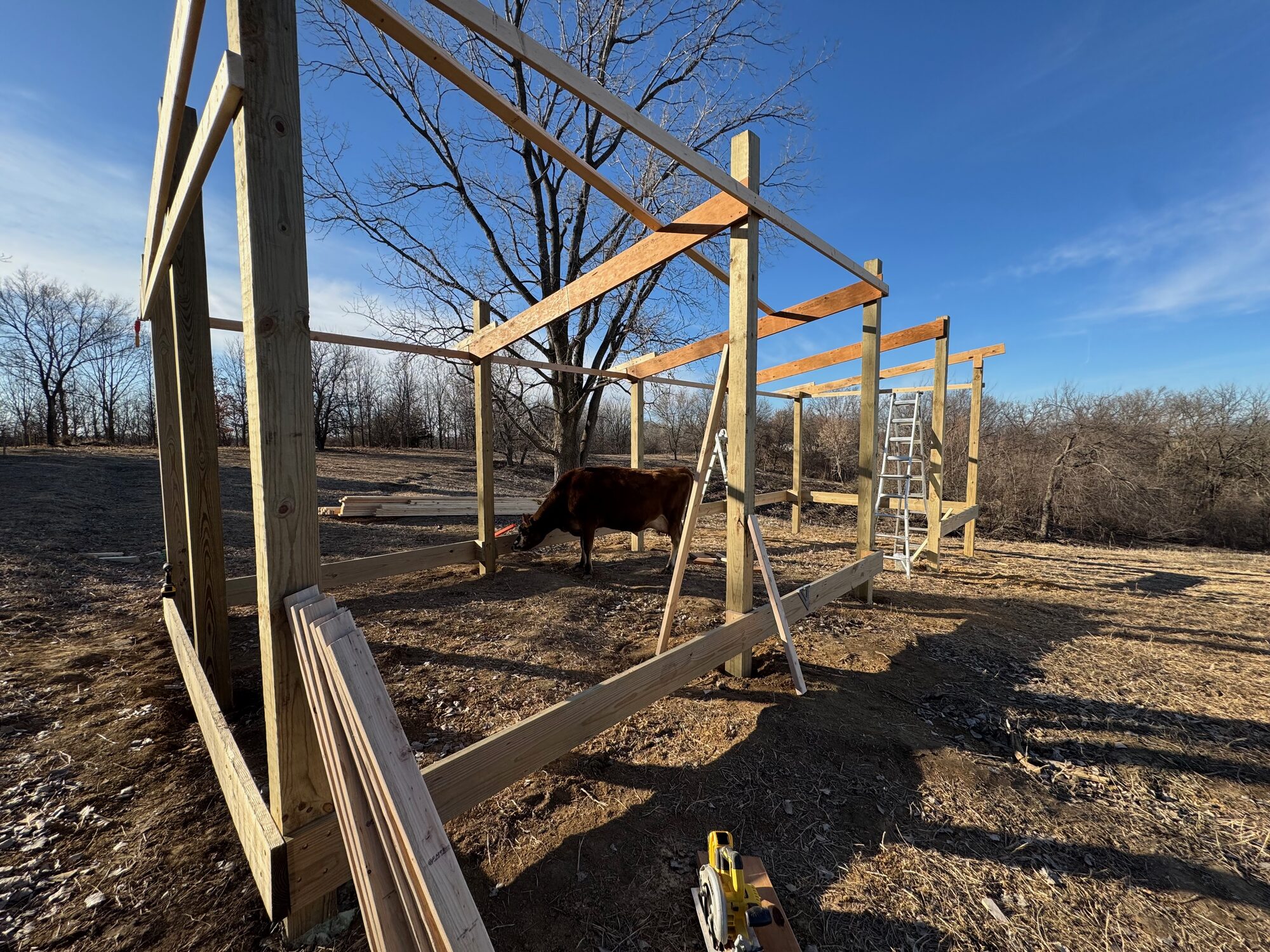 Building the barn