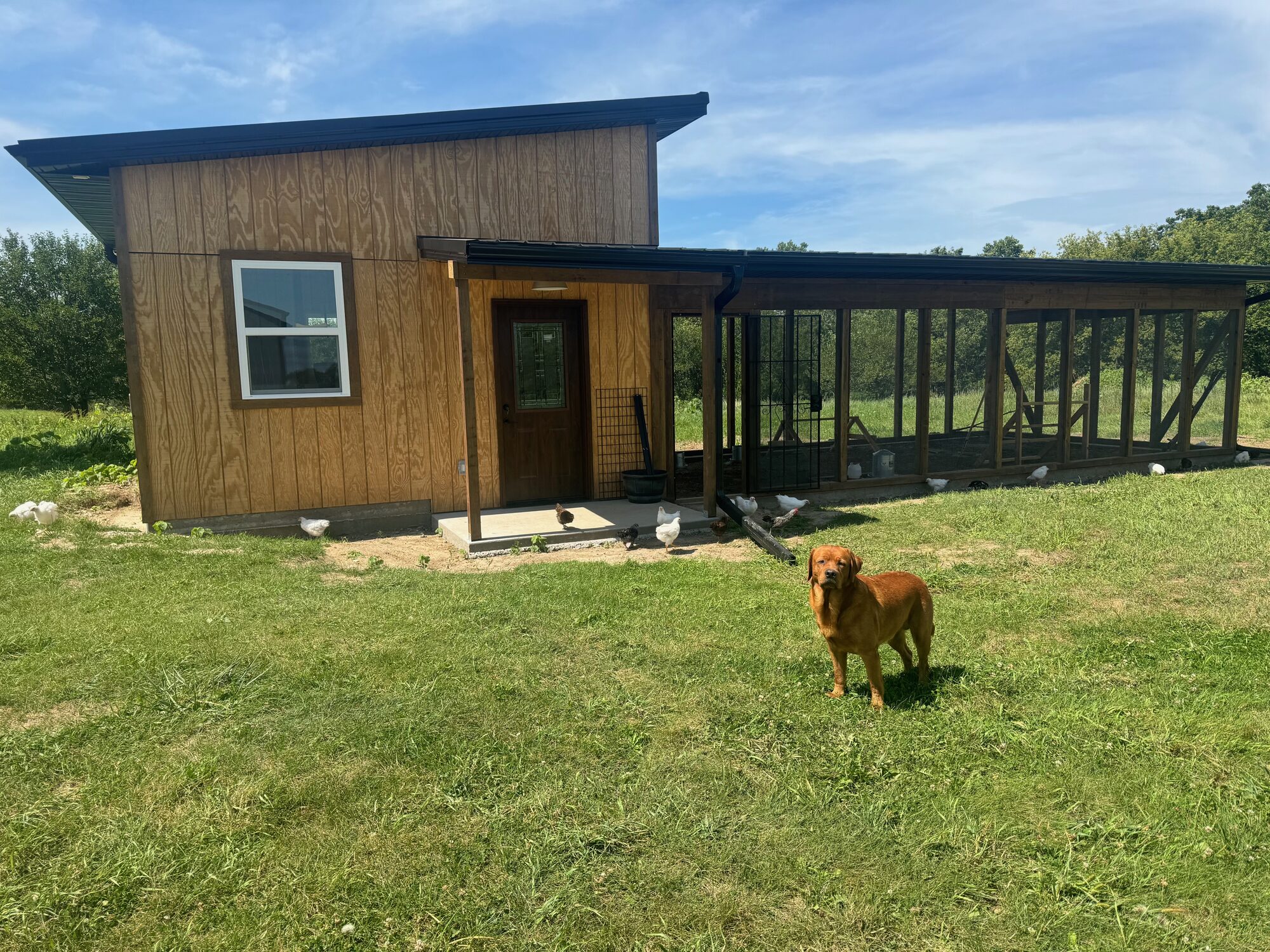 The coop and pasture run