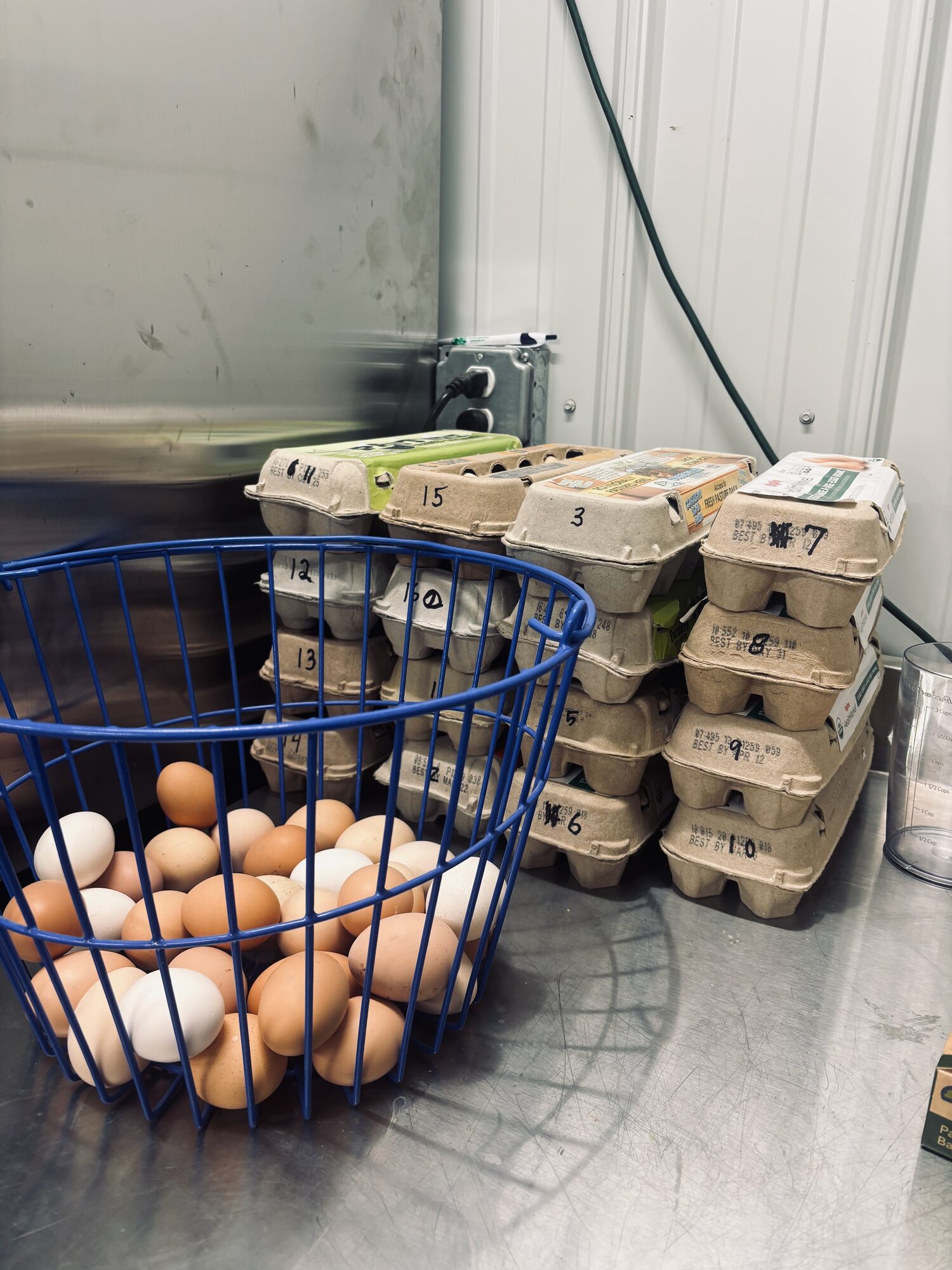 Eggs by the carton