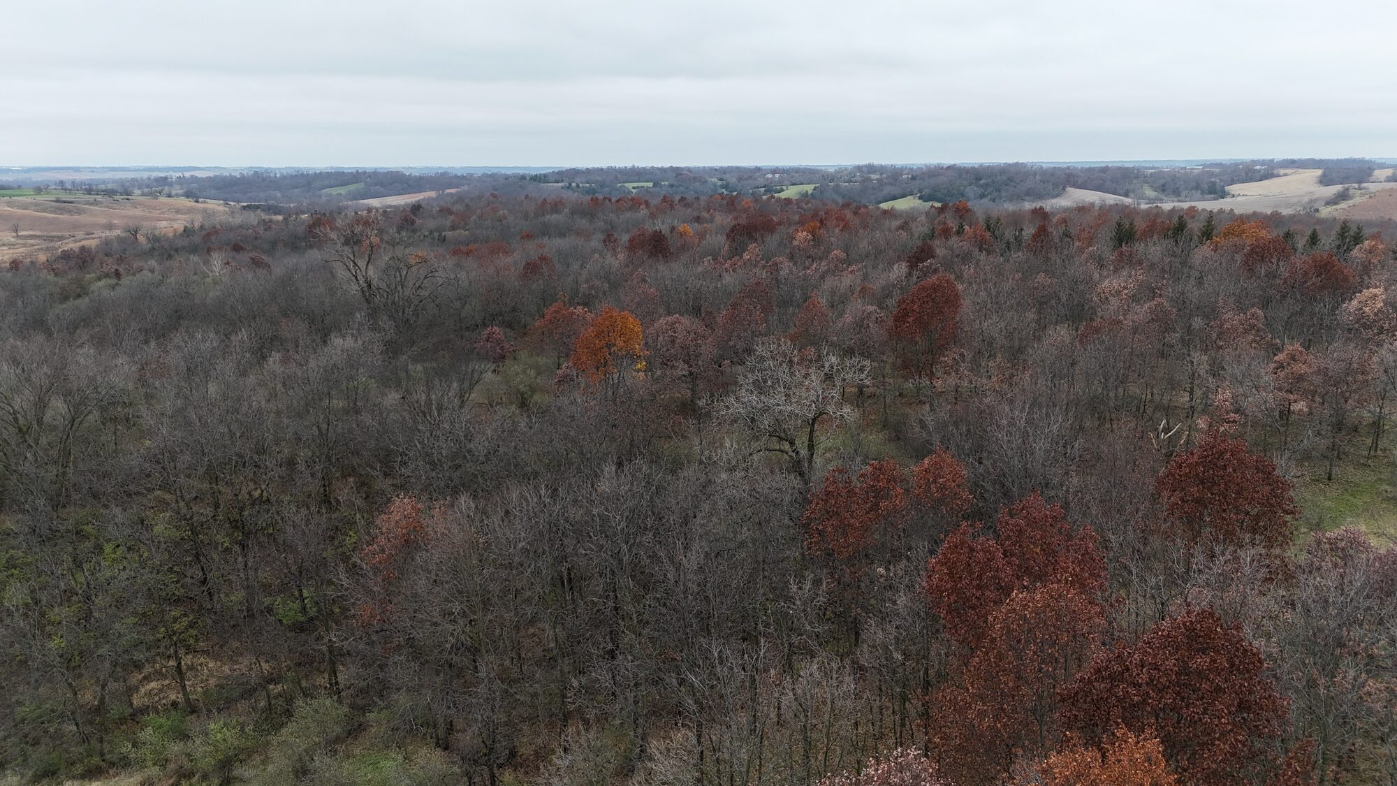 Rolling fall hills