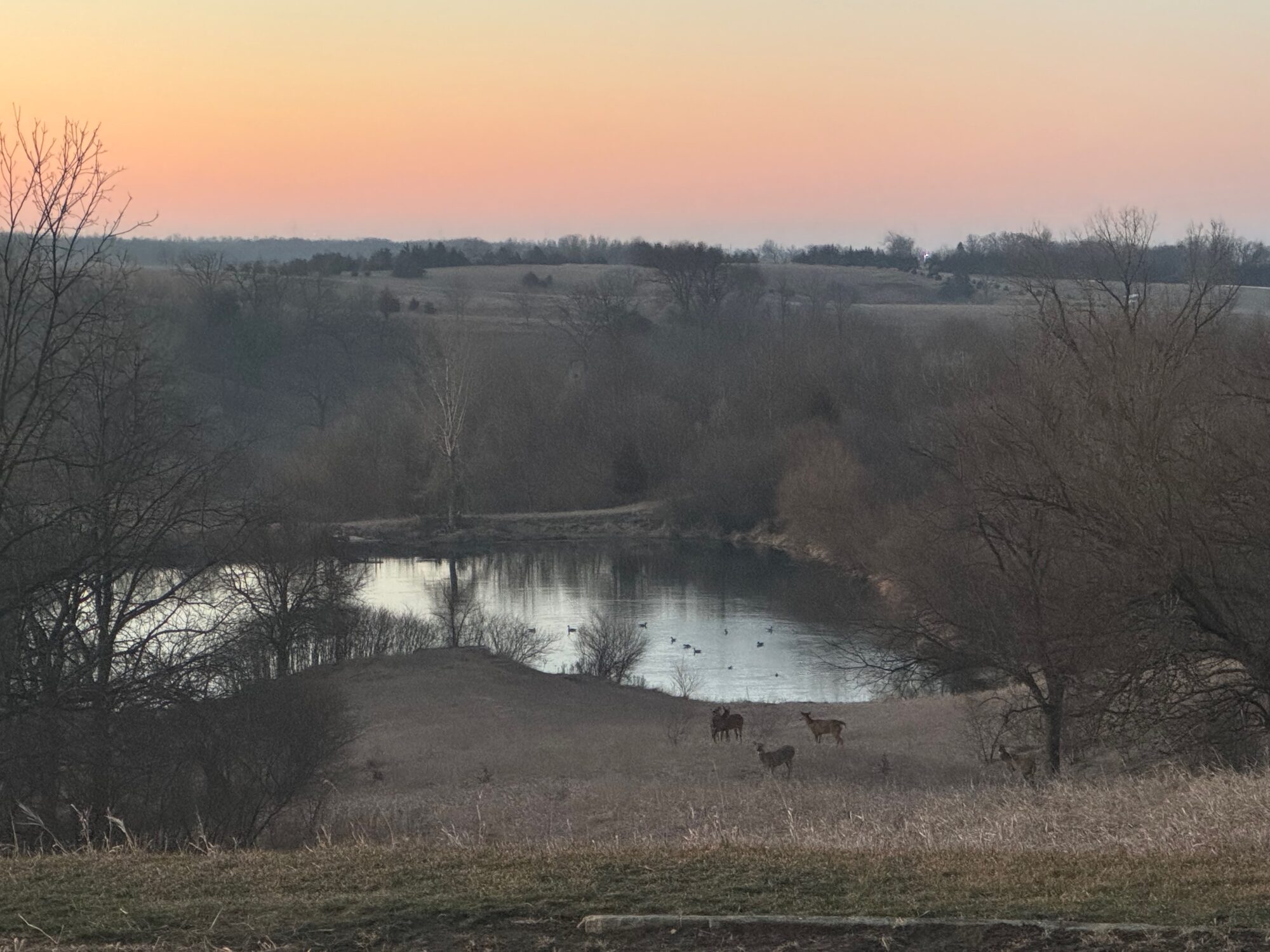 The farm pond at dusk
