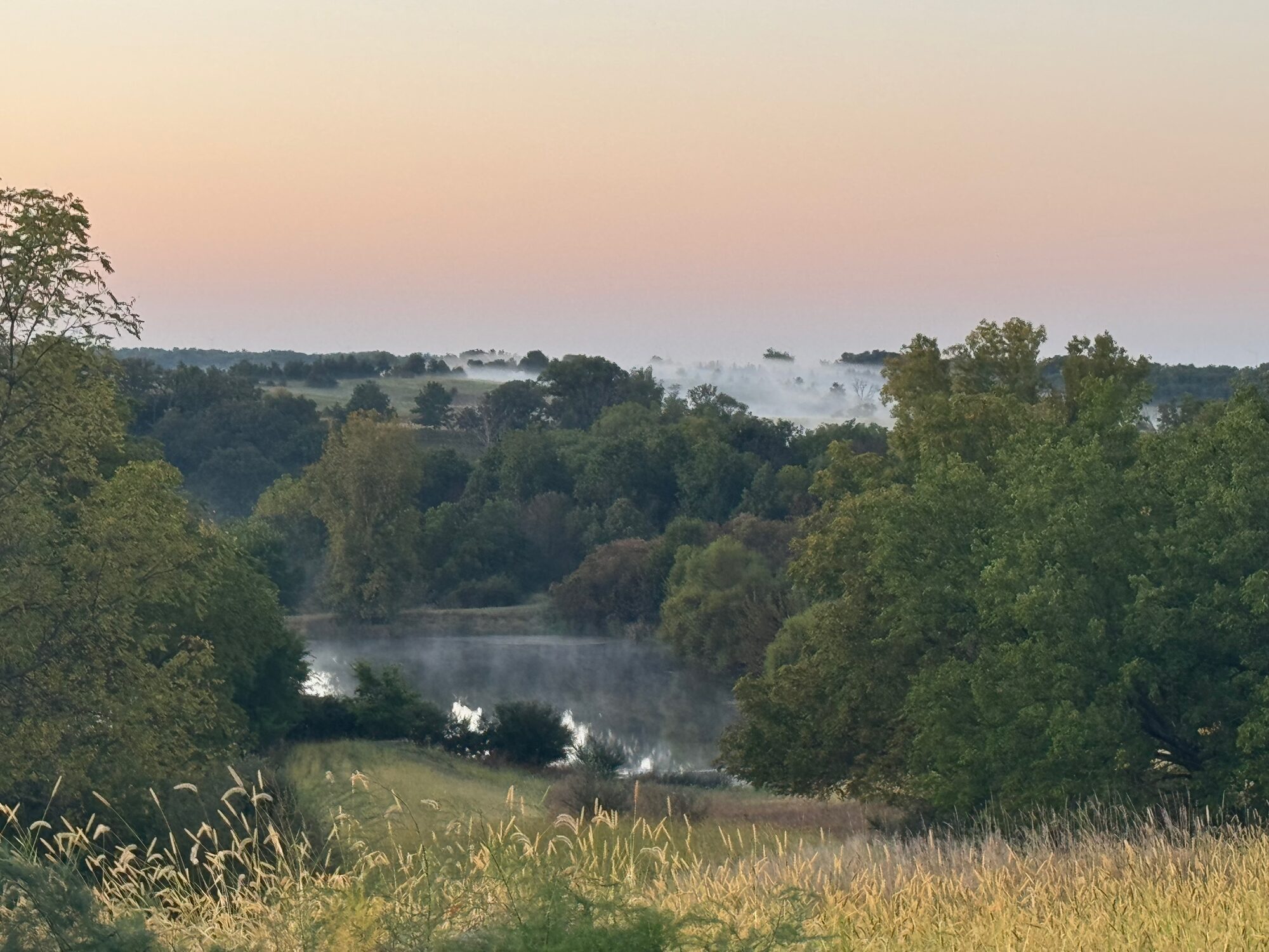 Misty morning over the pond