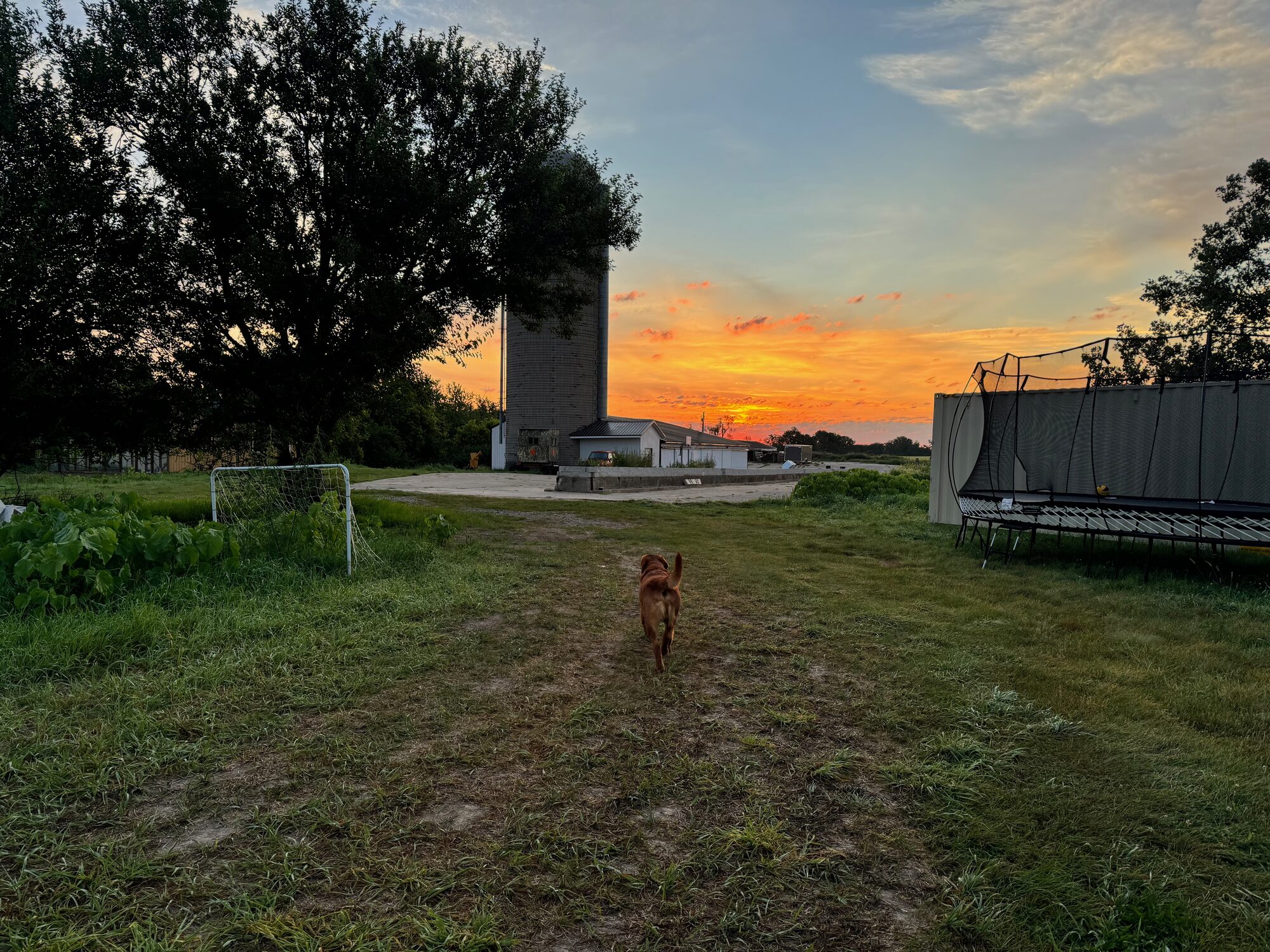 The farm at sunset